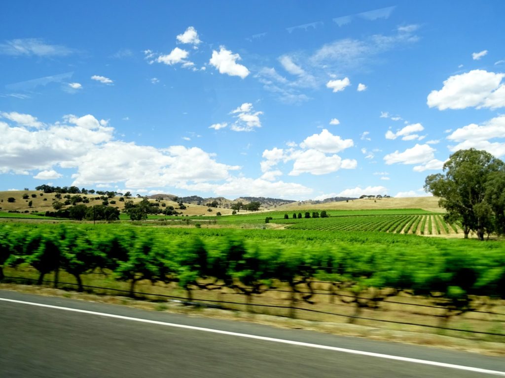 landscape from bus