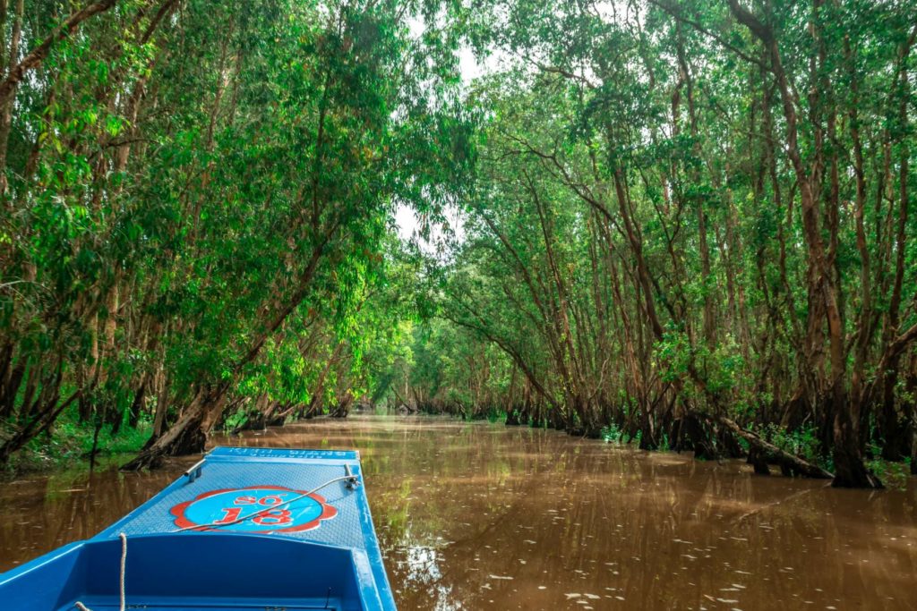 water forest