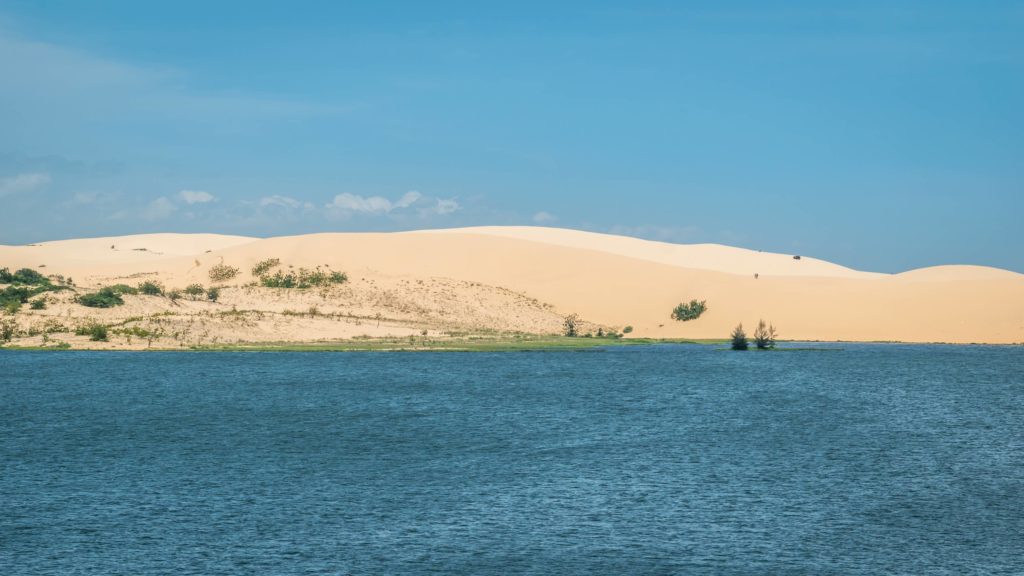 white dunes