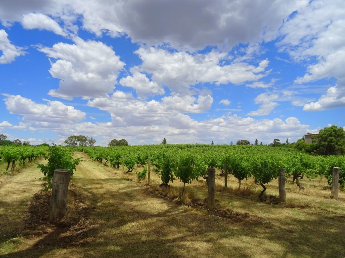 barossa