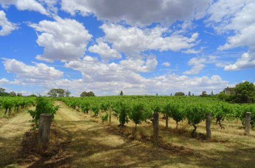 barossa